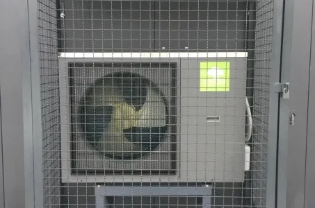 Lavagem de automóveis